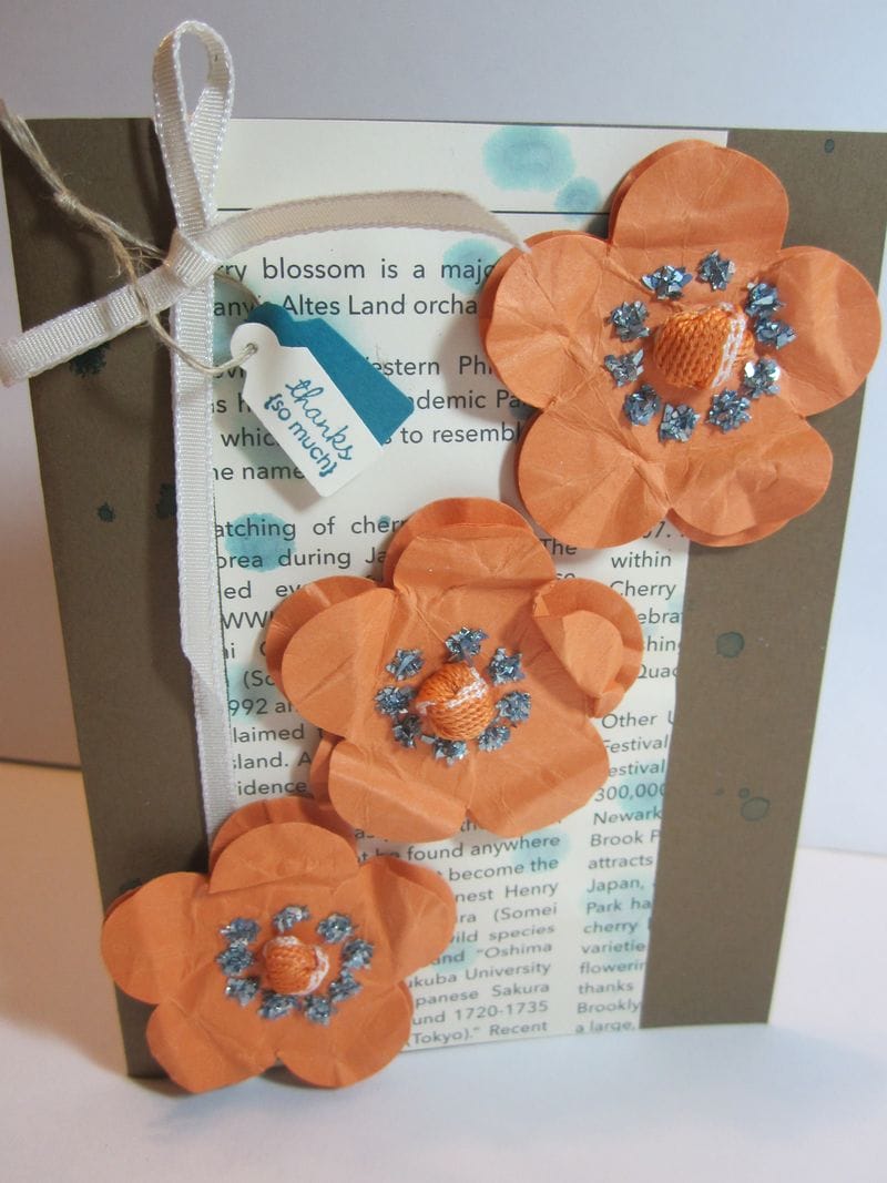 Flowers peach island close Flowers peach island close