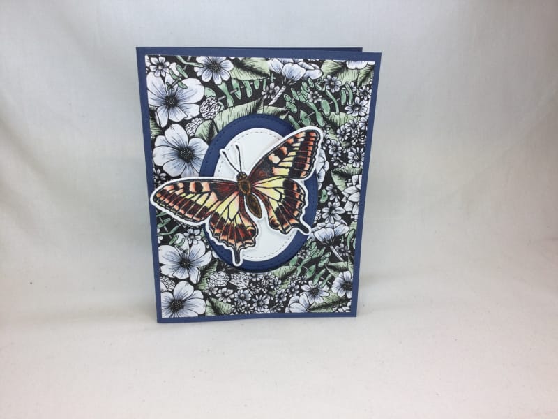 6C4EF2C0-BDA1-4134-A25E-67B7EA5BABED 6C4EF2C0-BDA1-4134-A25E-67B7EA5BABED