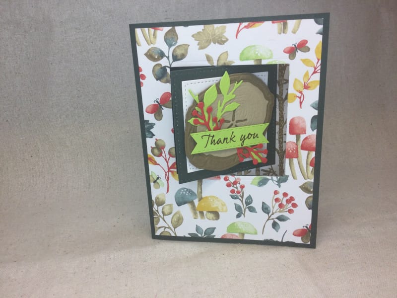 802996CF-B060-424C-A7C2-08AC275DE32D